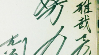 Thumbnail of post image 146